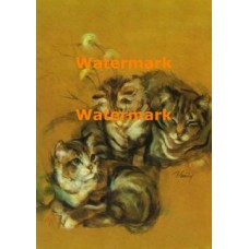 Tabby Family  - #XRA903  -  PRINT