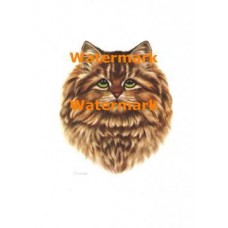 Chat  - XRA966  -  PRINT