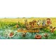 The Swimming Hole  - #XBJ501  -  PRINT