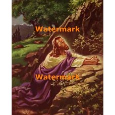 Christ in Gethsemane  - XRKB51  -  PRINT