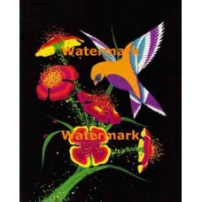 Neon Hummingbird  - XKL975  -  PRINT
