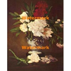 Peonies  - XBMC130  -  PRINT
