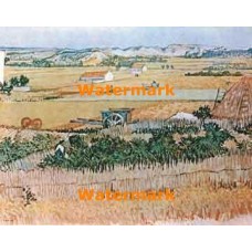 With Kitchen Garden  - XBMC200  -  PRINT