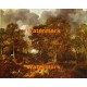 The Forest  - XBMC24  -  PRINT