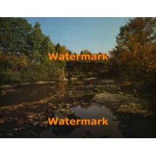 Covered Bridge  - XBPH110  -  PHOTO PRINT