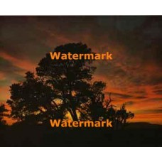 Sunset  - #XBPH116  -  PHOTO PRINT