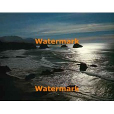 Ocean Shore  - #XBPH119  -  PHOTO PRINT