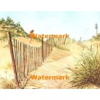 Sand Fence  - #XBSC854  -  PRINT