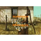 Water Pump  - #XBSC926  -  PRINT