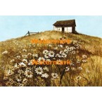Hill Top  - XBSC928  -  PRINT