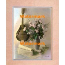 Mandolin  - #XBSL822  -  PRINT