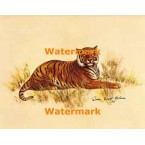 Tiger  - #XBSP345  -  PRINT