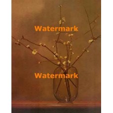 Peach Blossom  - #XRA1690  -  PRINT