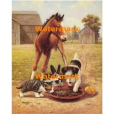 Farm Friends  - XBAN1192  -  PRINT