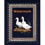 Company of Three  - XBBI-1037  -  PRINT