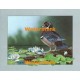 Water Lily Pond  - XBBI-1102  -  PRINT