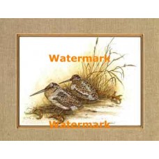 Birds In Autumn  - #XBBI-1136  -  PRINT