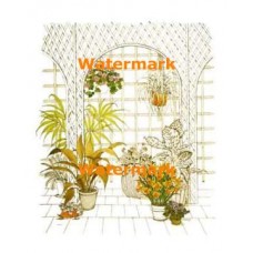 Plants  - #XBFL1021  -  PRINT
