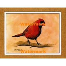 Cardinal  - #XKFL1063  -  PRINT