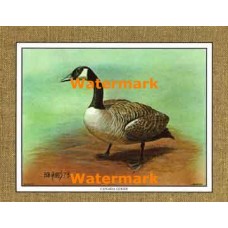 Canada Goose  - XKFL1068  -  PRINT