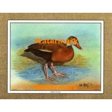 Tree Duck  - #XKFL1069  -  PRINT