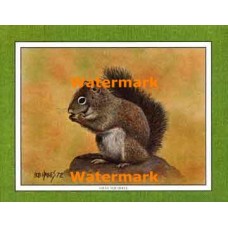 Gray Squirrel  - #XKFL1079  -  PRINT