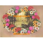 Flower Window  - XBFL1285  -  PRINT