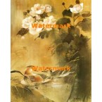 Ducks  - XBFL1345  -  PRINT