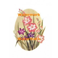 Flowers  - XBFL1508  -  PRINT
