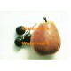 Pear & Grapes  - #XRA1188  -  PRINT