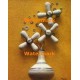 Pot of Daisy Handles  - #XRA1231  -  PRINT