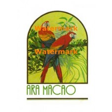 Ara Macao  - XRA1316  -  PRINT