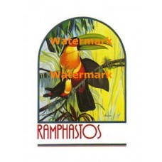 Ramphastos  - #XRA1319  -  PRINT