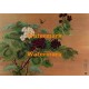 Oriental Butterfly & Flower  - #XRA1374  -  PRINT