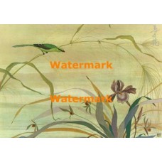 Oriental Bird & Butterfly  - #XRA1375  -  PRINT