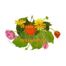 Pink, Mauve And Yellow Flowers  - XKD1103  -  PRINT