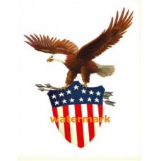 Patriotic Eagle  - #XKF1276  -  PRINT
