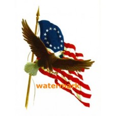 American Eagle  - XKF1279  -  PRINT