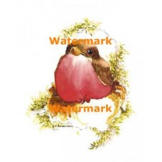 Bird  - XKL1448  -  PRINT