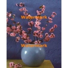 Vase With Blossoms  - #XKL1530  -  PRINT