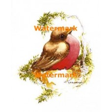 Bird  - XKL1446  -  PRINT
