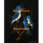 Kingfishers  - #XKLM1289  -  PRINT