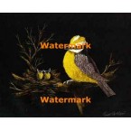 Birds  - XKLM1290  -  PRINT