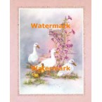 Gathering At The Mailbox  - #XBPP1597  -  PRINT