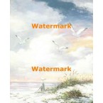 Beach  - XBPP1669  -  PRINT