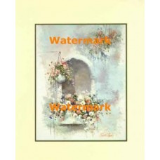 Hanging Baskets  - #XBPP1906  -  PRINT