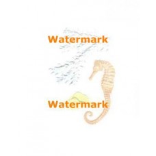 Seahorse, Seashell and Coral  - #XRA1823  -  EMBOSSED PRINT