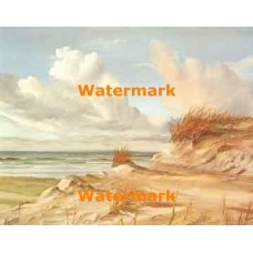 Sandy Seashore  - #XBSC1026  -  PRINT