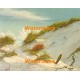Sandy Seashore  - #XBSC1027  -  PRINT