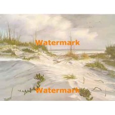 Sandy Seashore  - #XBSC1024  -  PRINT